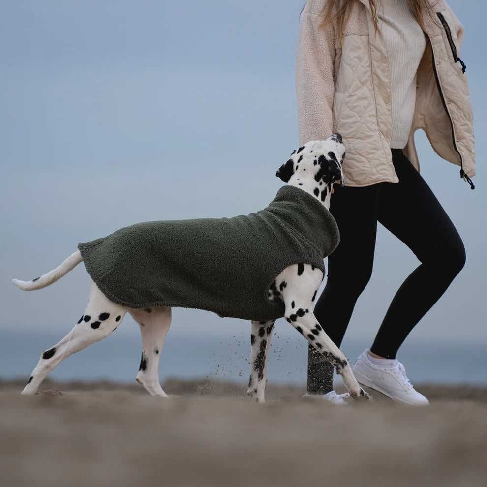 Hundepullover CosyShirt stay warm Teddy moosgrün