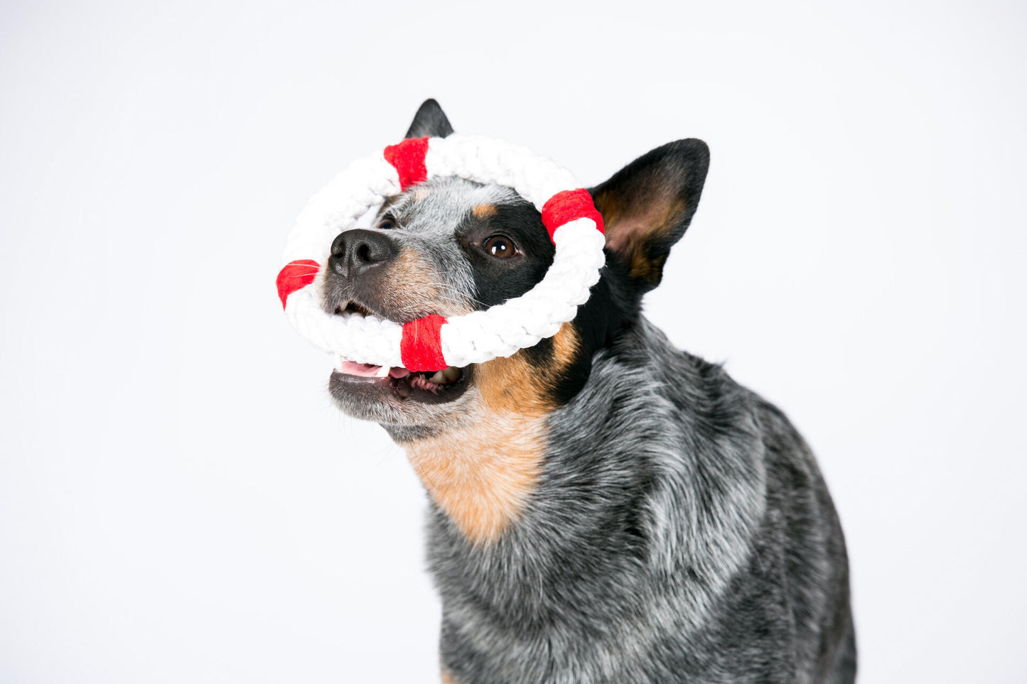 Hundespielzeug Rita Rettungsring