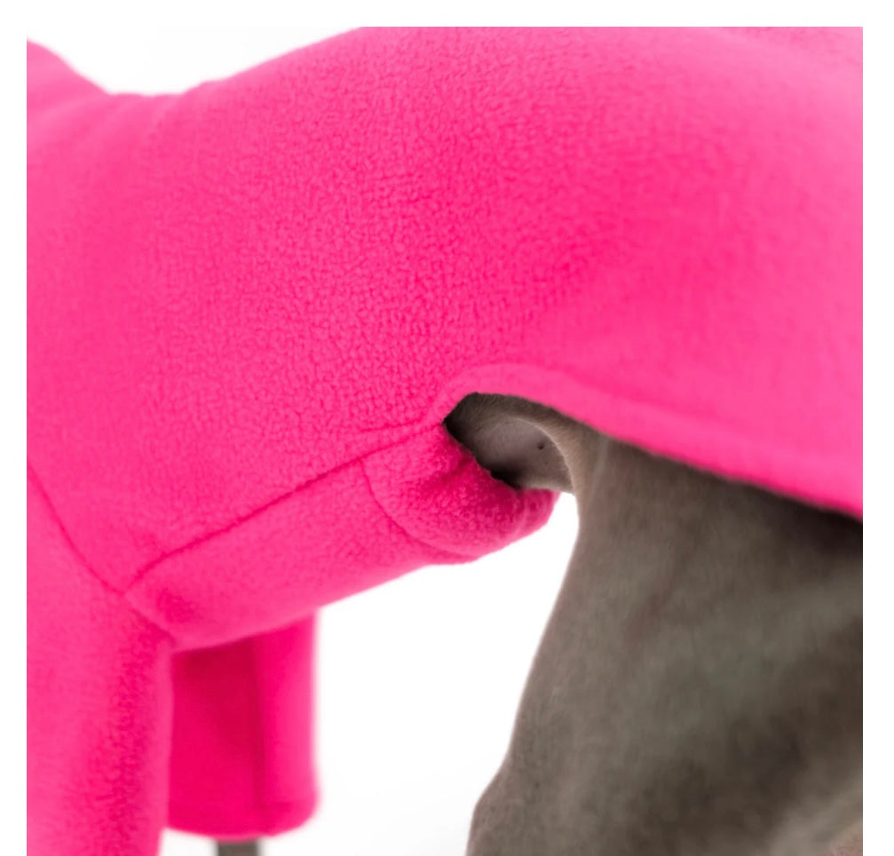Pullover in Magenta für Italienisches Windspiel