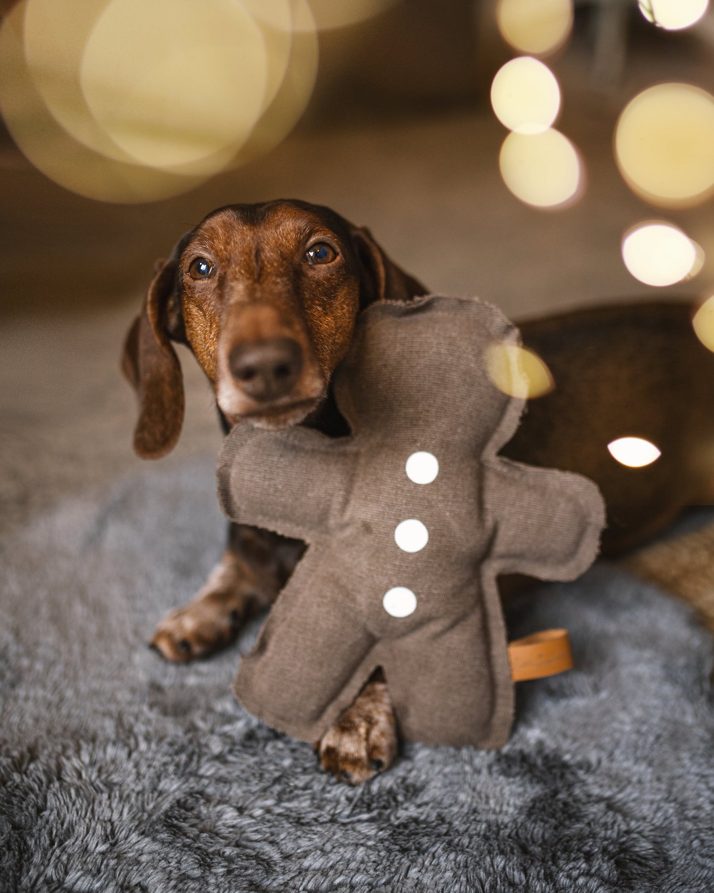 Lebkuchenmann aus Canvas handgefertigt