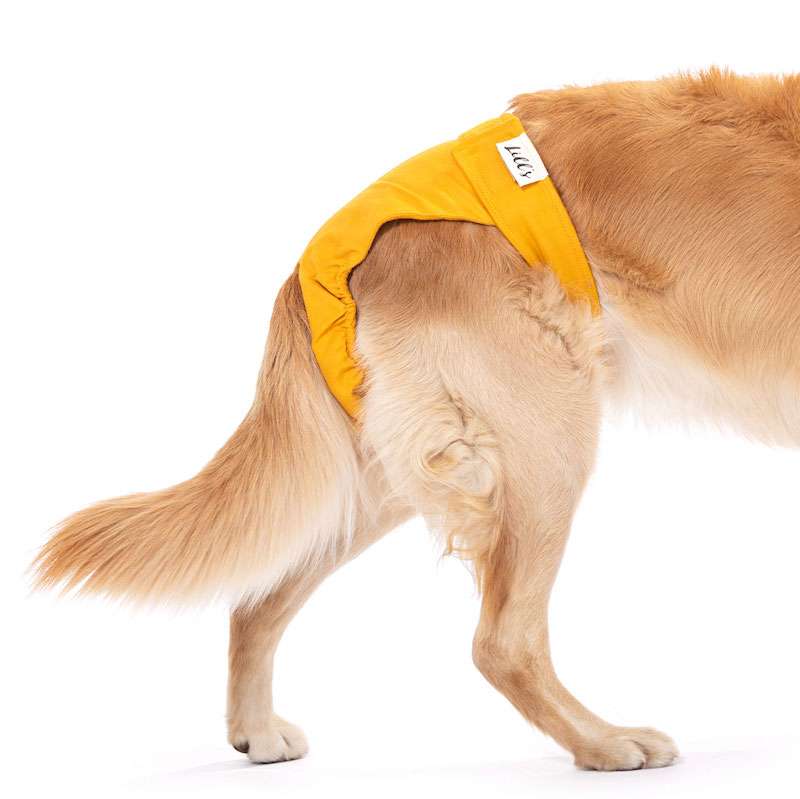 Läufigkeitshosen aus Bio-Baumwolle „Lou“ Amber