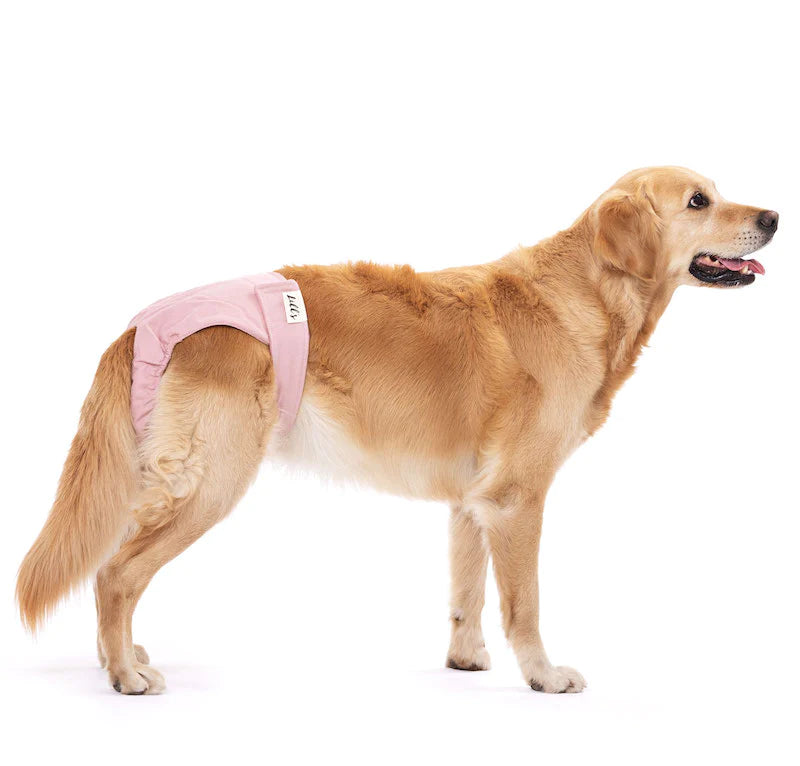 Läufigkeitshosen aus Bio-Baumwolle „Lou“ Pink Berry