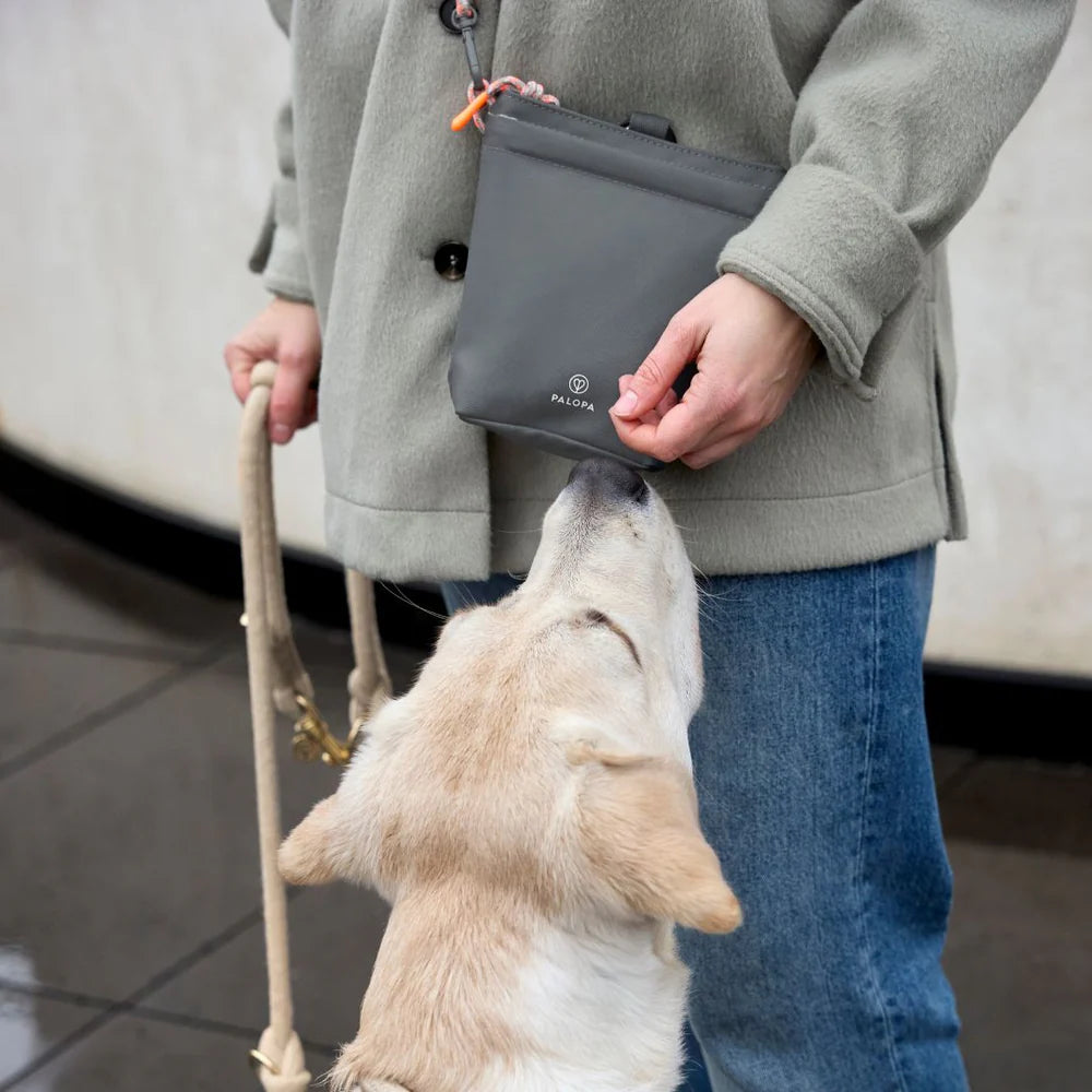 Dog Snack Bag Karl in dunkelgrau