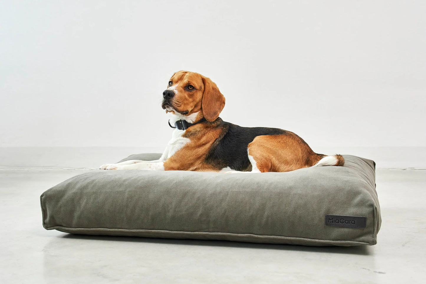 Comodo Hundekissen Salbei