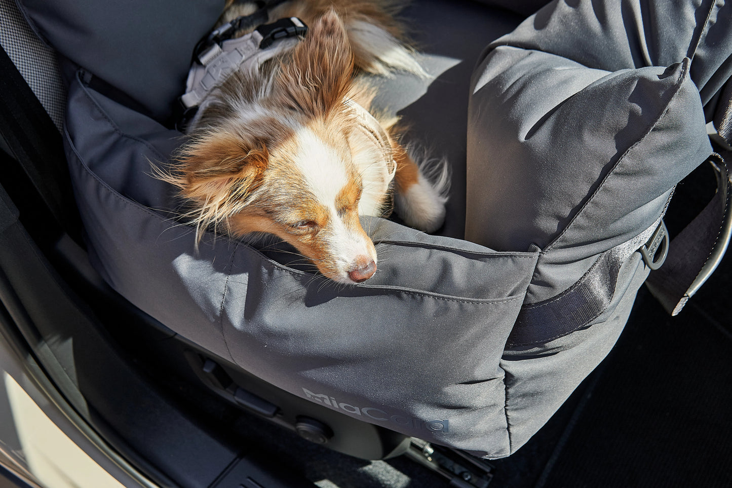 Viaggio Autositz und Reisebett