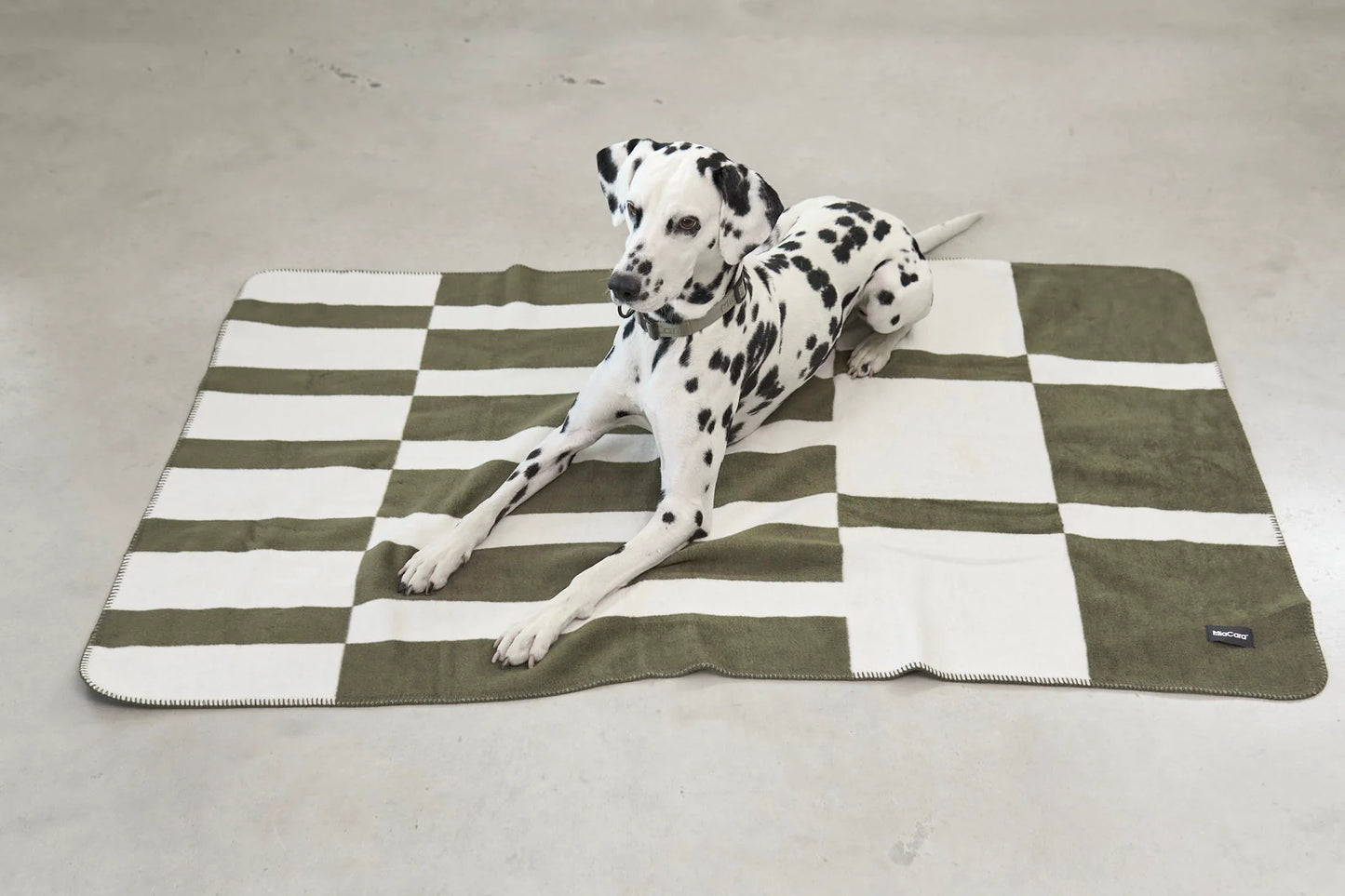 Hundedecke Blocco taupe