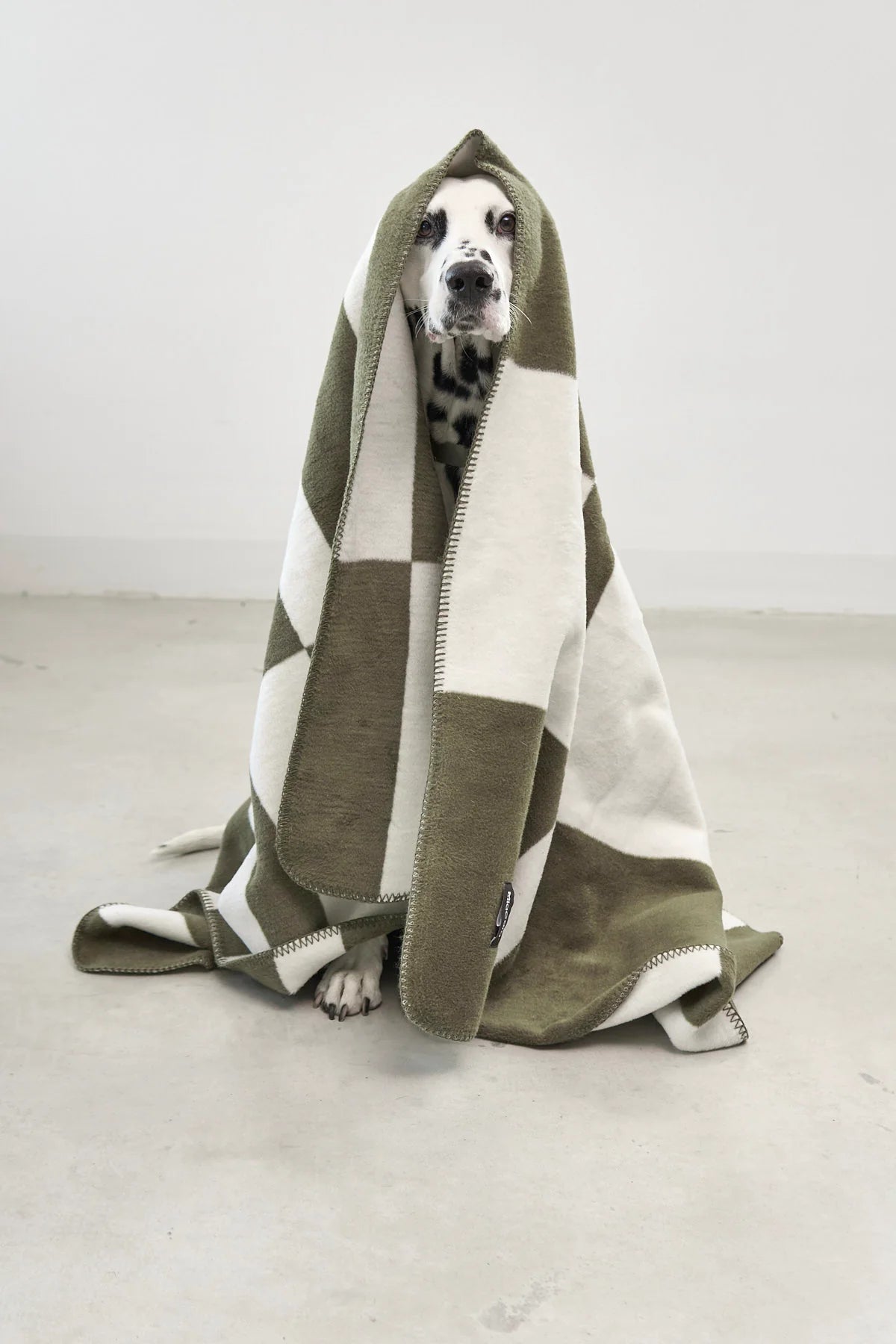 Hundedecke Blocco taupe