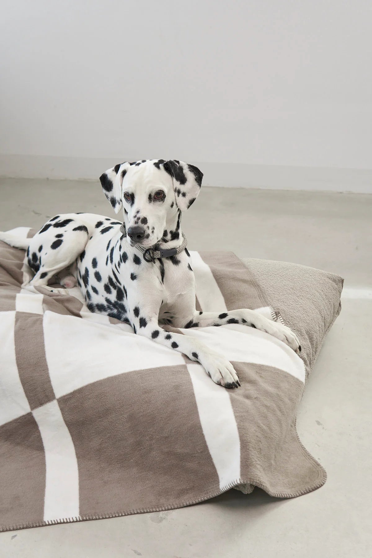 Hundedecke Blocco taupe