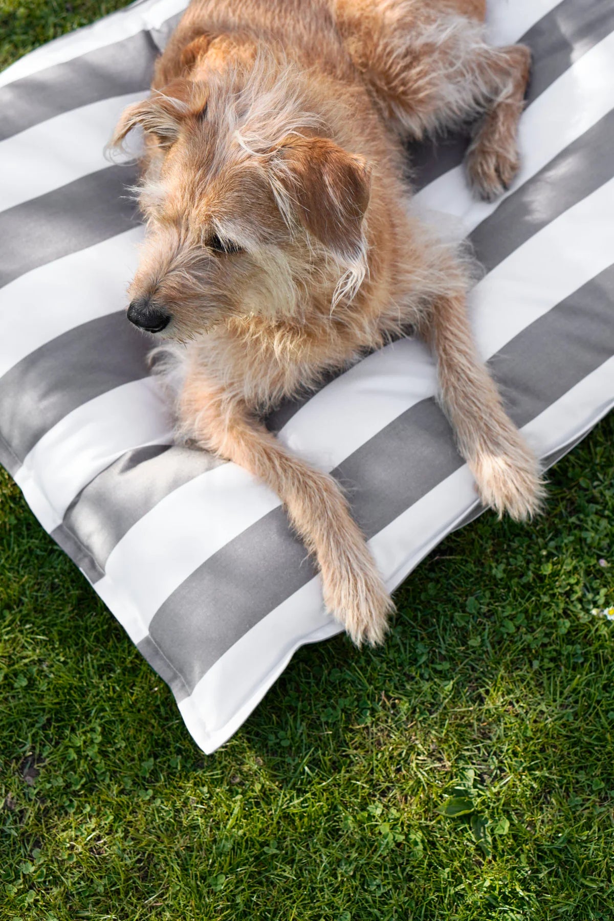 Outdoor Hundekissen slim Giardino Off White/Kiesel