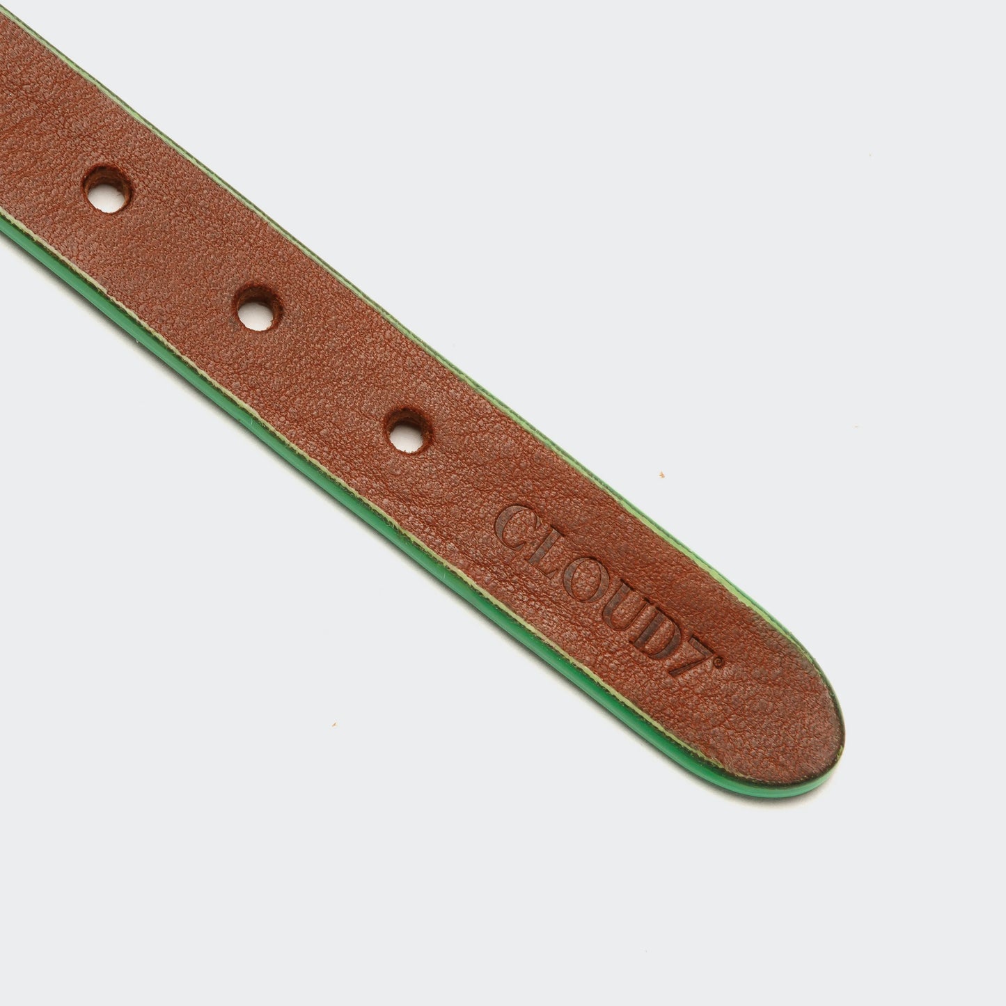 Hundehalsband Prince Park Cognac/Green