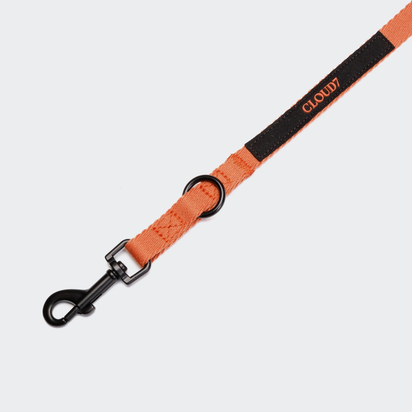 Hundeleine Holly Park Orange