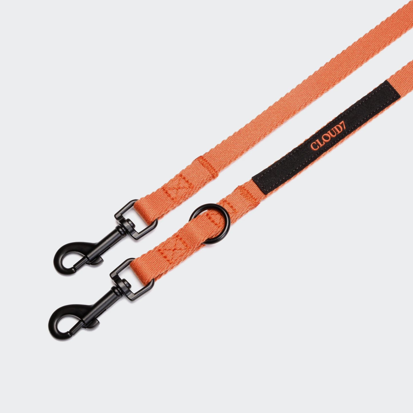 Hundeleine Holly Park Orange