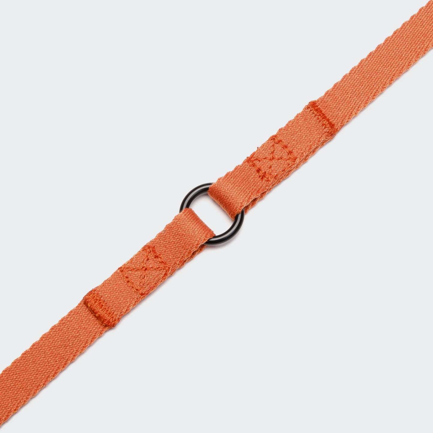 Hundeleine Holly Park Orange