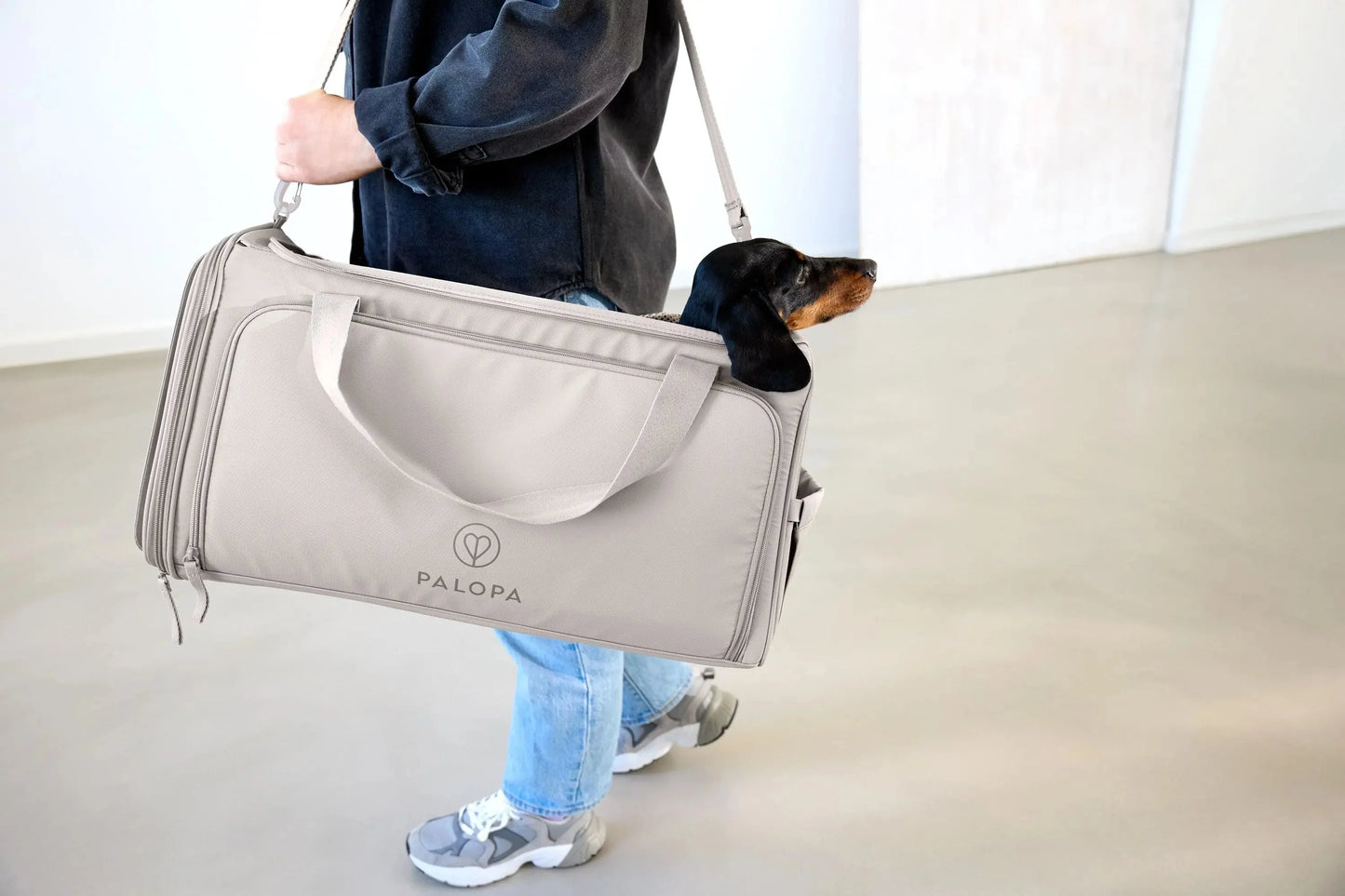 Benno dog carrier bag, taupe