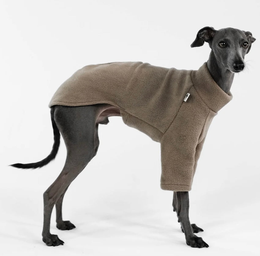 Pullover in Walnut für Italienisches Windspiel