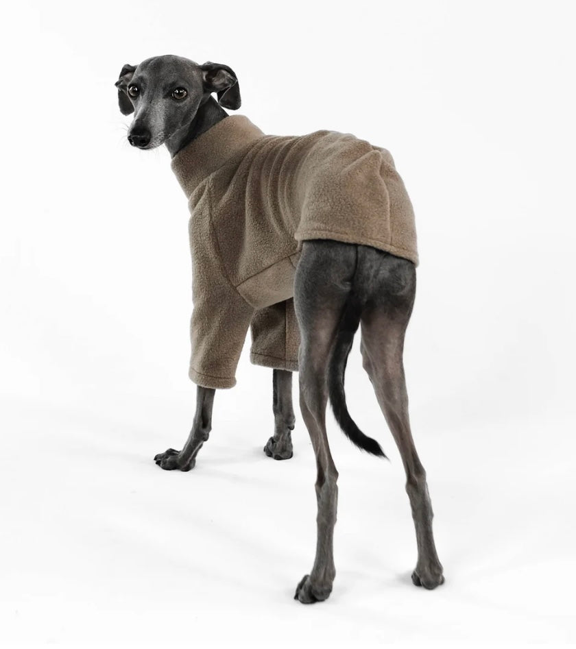 Pullover in Walnut für Italienisches Windspiel