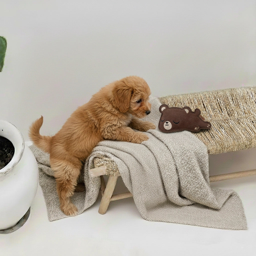 Bear Bärlie - Leather toy