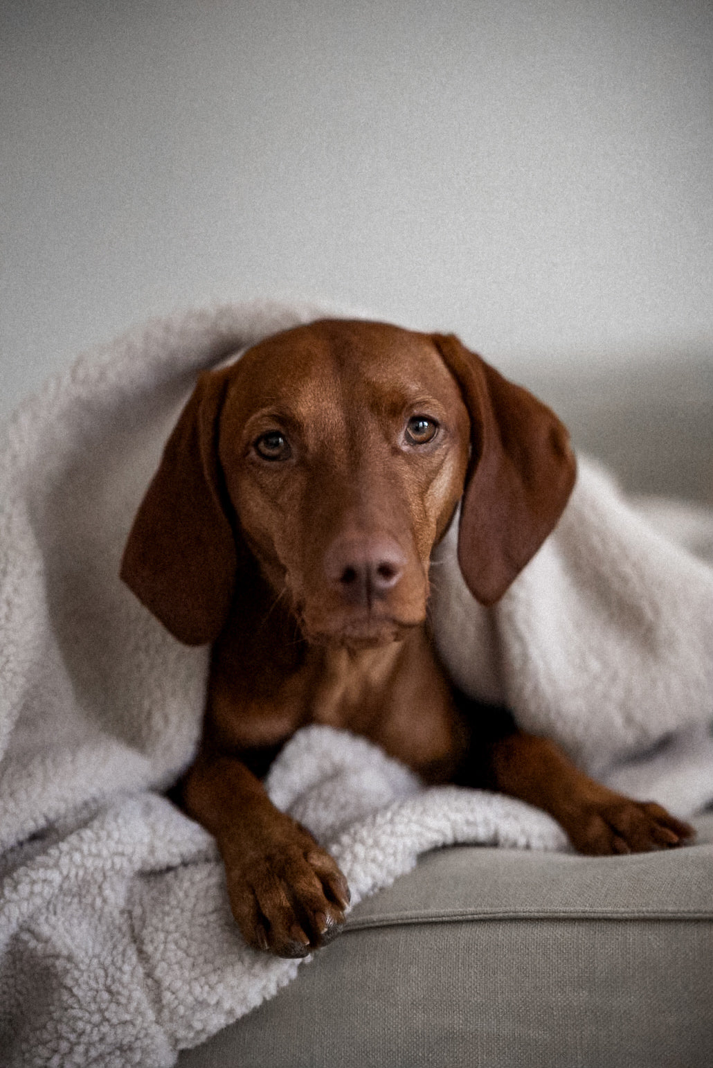 Kuschelschlafsack Teddy Beige