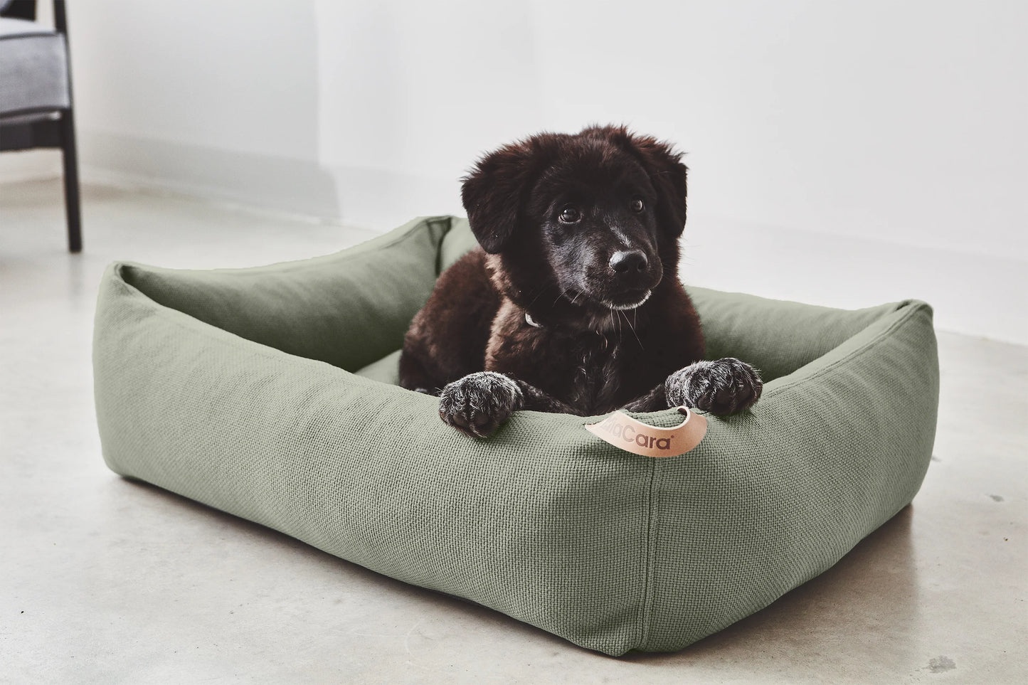 Hundebett Sonno grolive