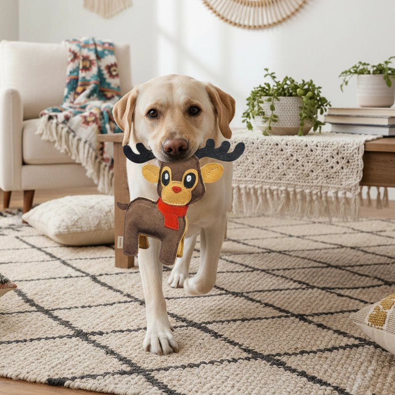 Rudolph - Leather Toy