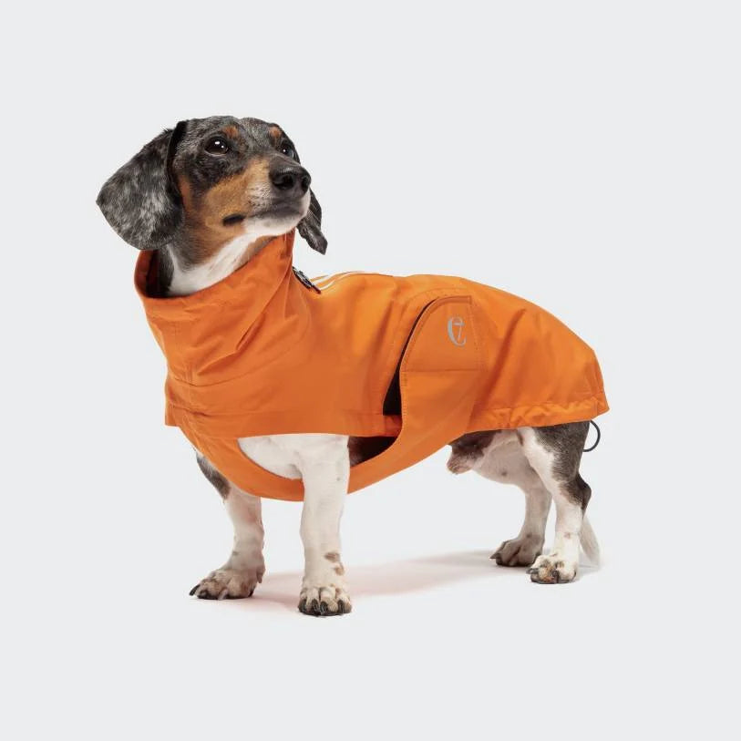 Cloud7 Hunderegenmantel Dackel Dublin Orange