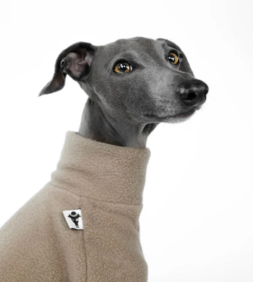 Pullover in Walnut für Italienisches Windspiel