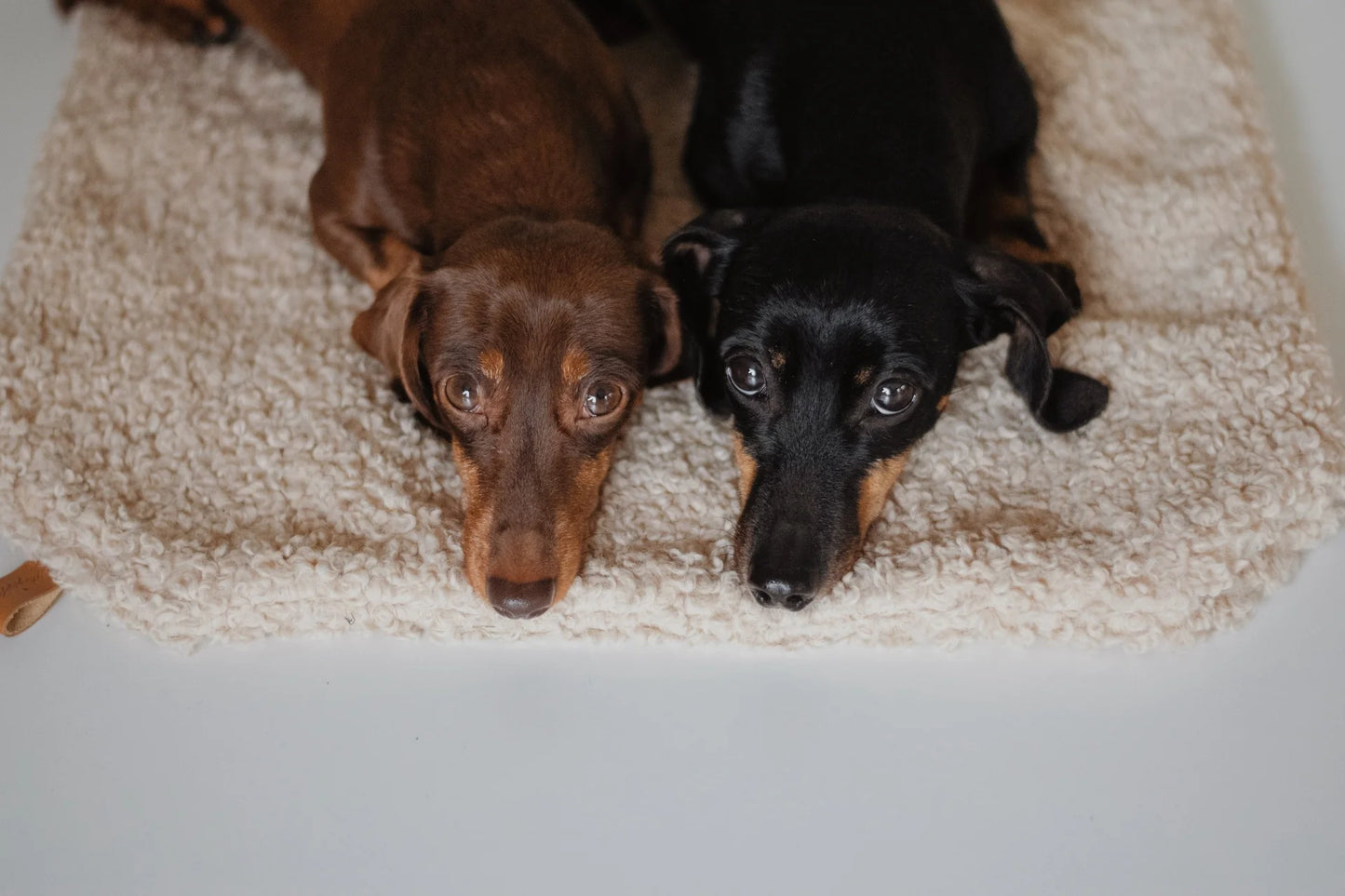 Kuscheldecke Nube beige