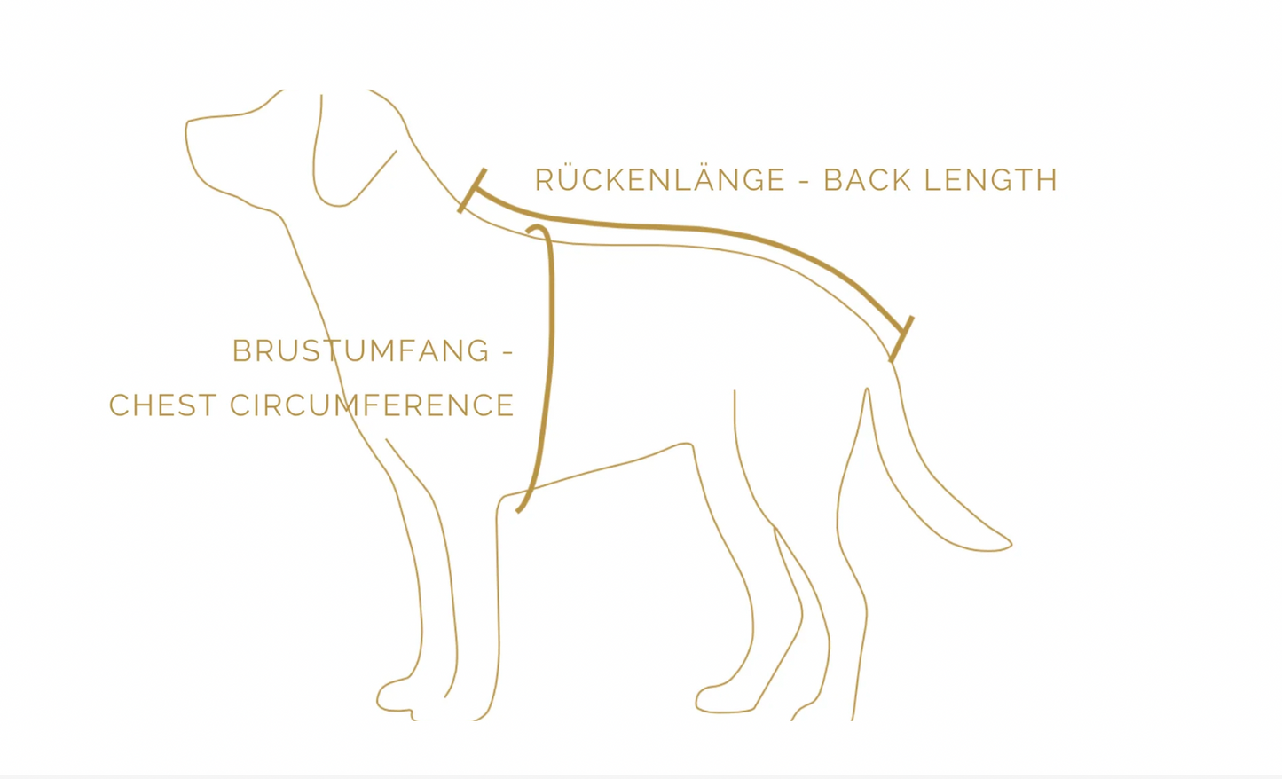 Goldhund Cosyshell khaki / orange