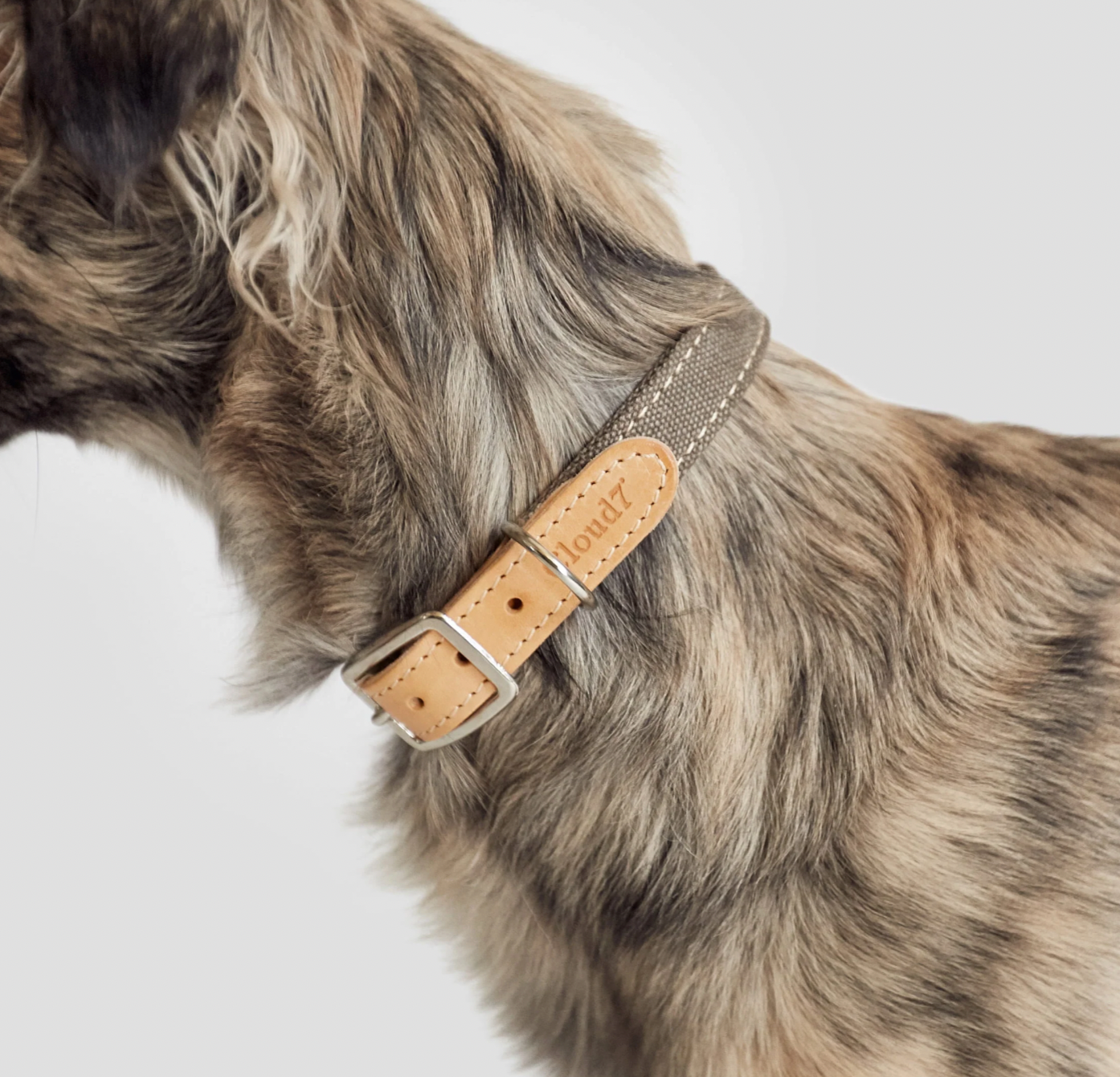 Hundehalsband Tivoli Greige