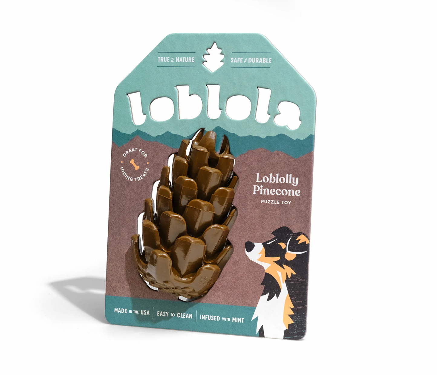 Loblolly Pinecone Tannenzapfen