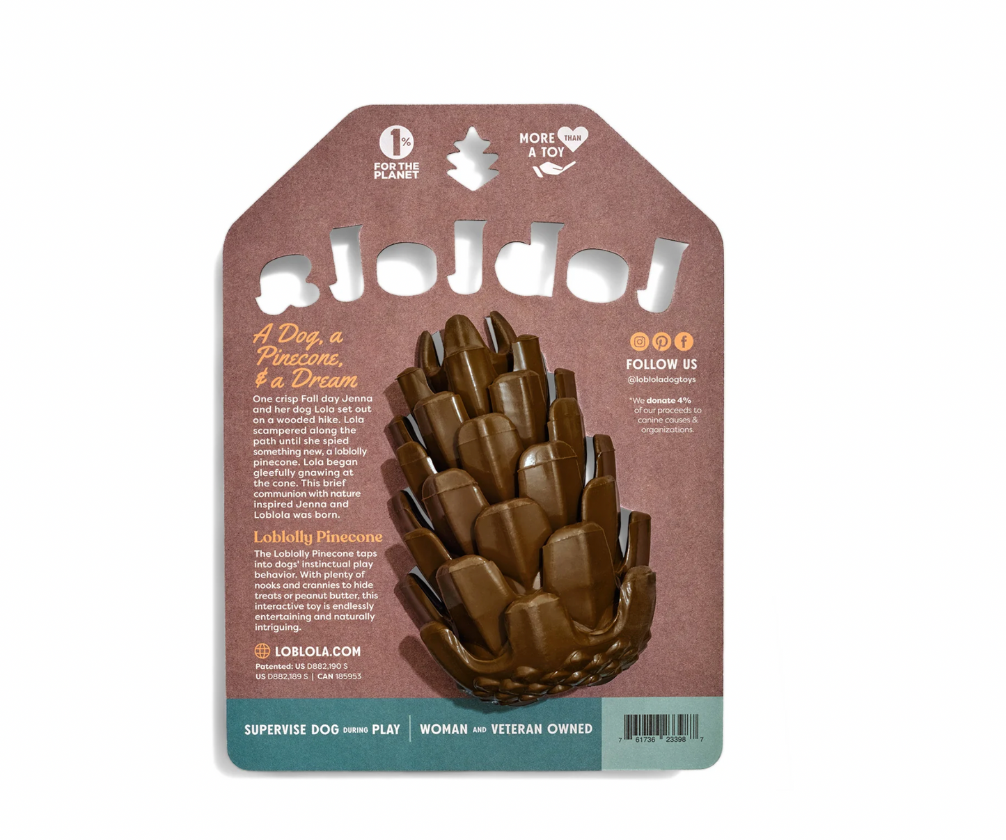 Loblolly Pinecone Tannenzapfen