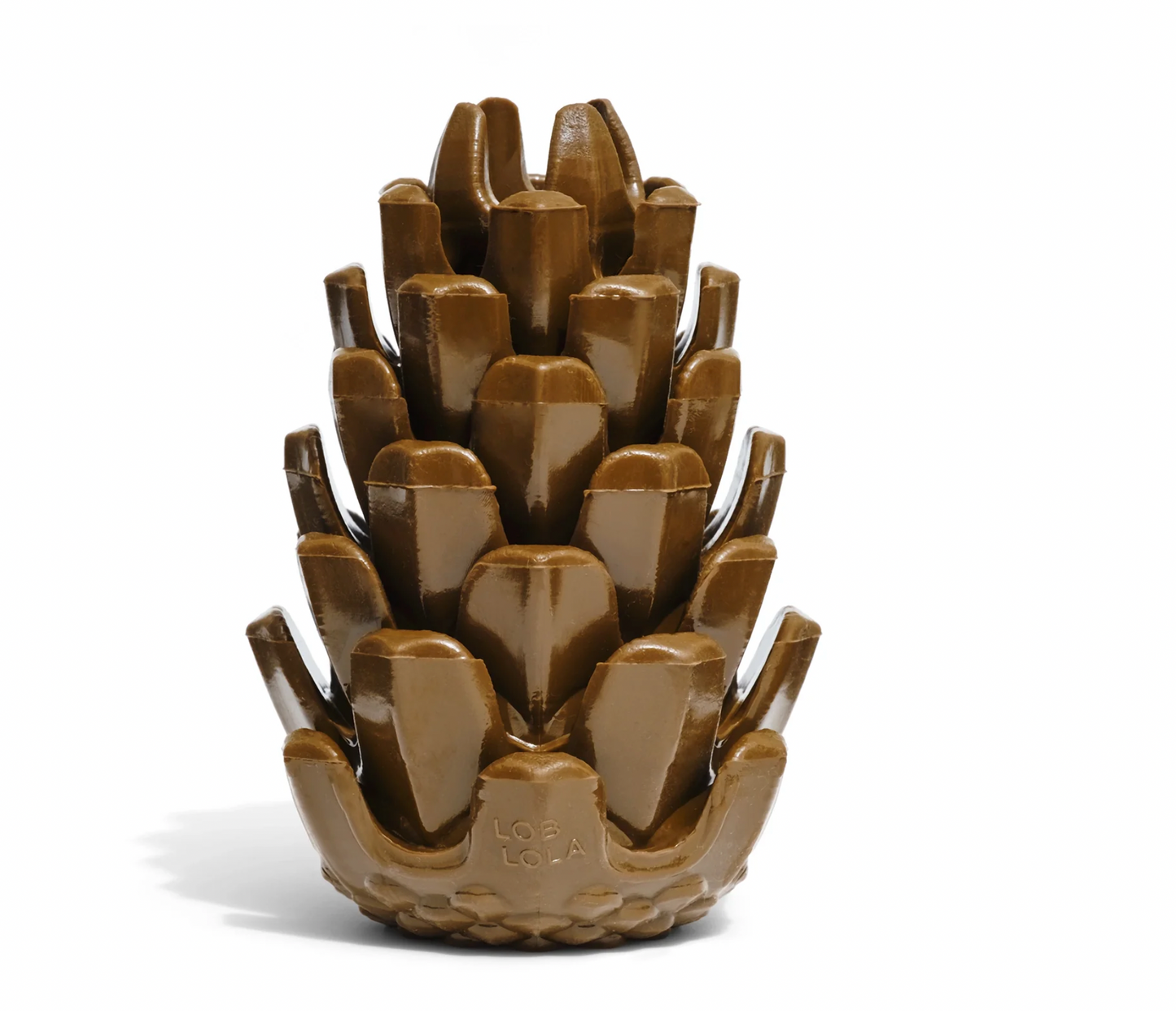 Loblolly Pinecone Tannenzapfen