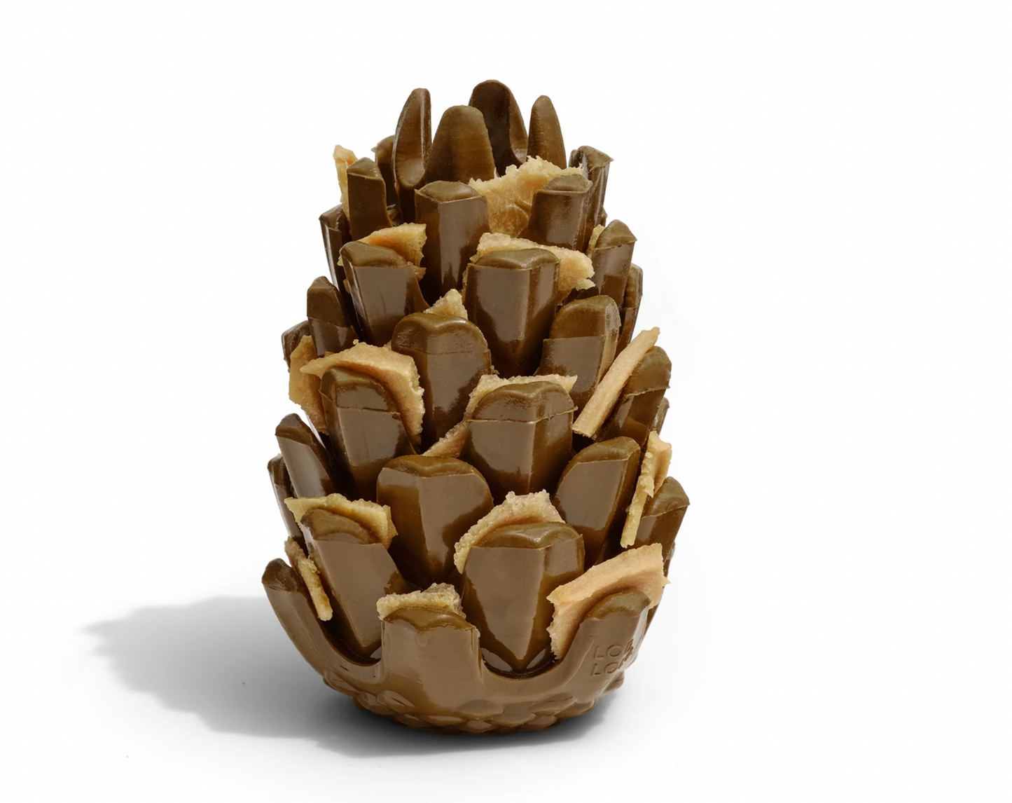 Loblolly Pinecone Tannenzapfen