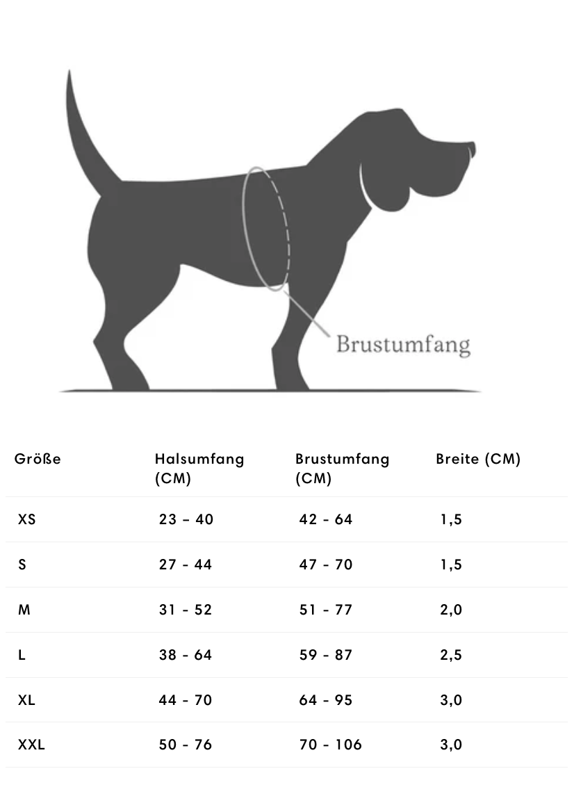 Y-Hundegeschirr Madeira Biscuit