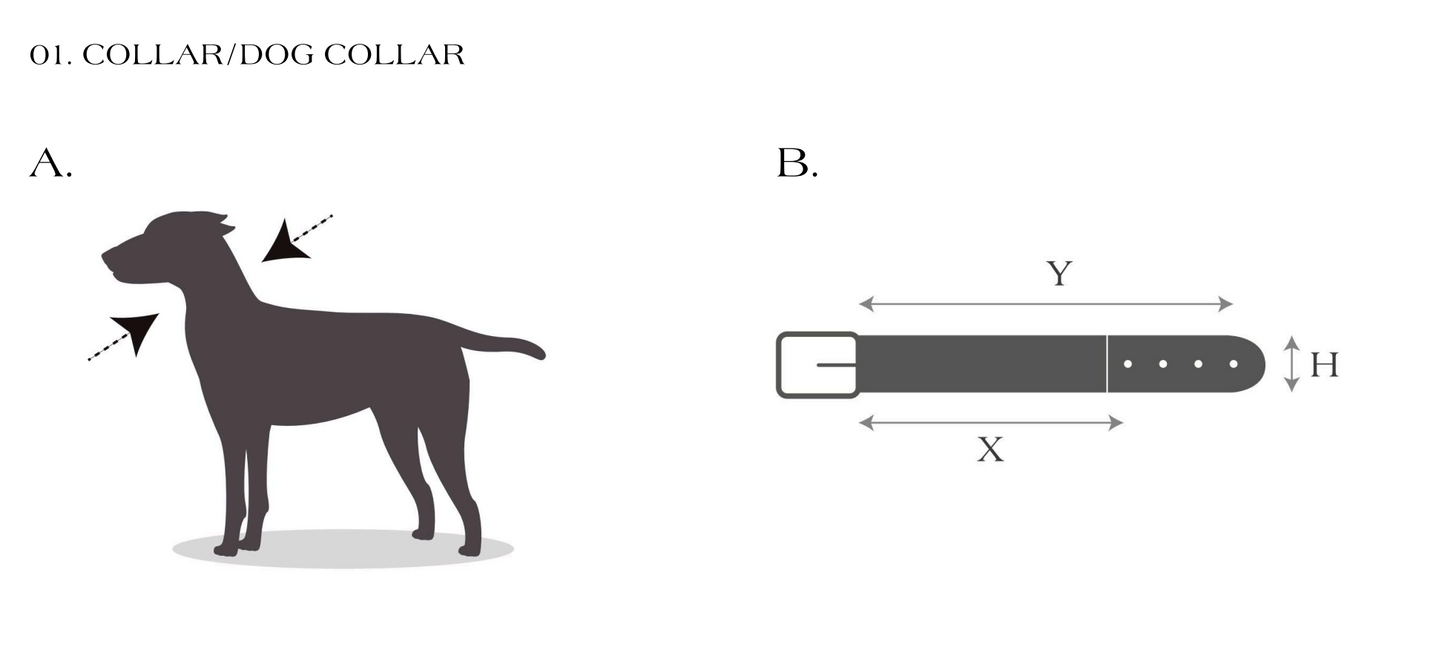 Hundehalsband Zigzag Naya