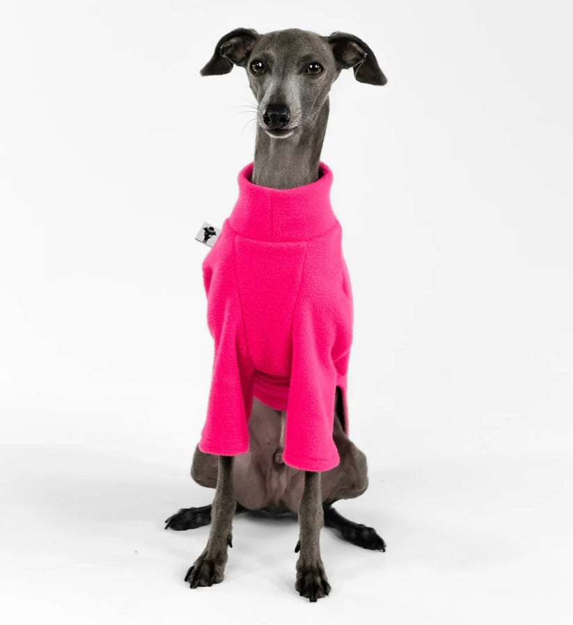 Pullover in Magenta für Italienisches Windspiel