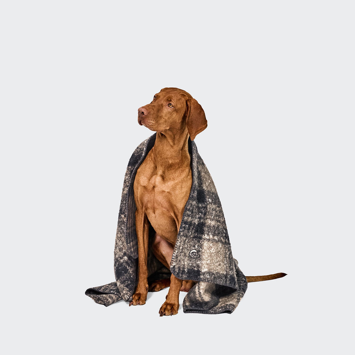Decke Tartan