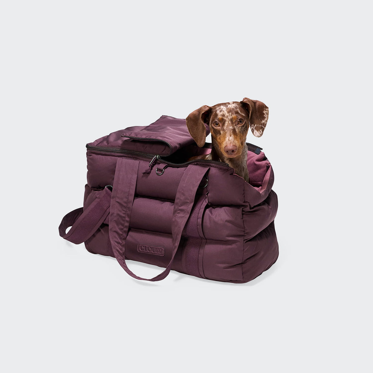 Hundetasche Montreal Aubergine mit Schultergurt