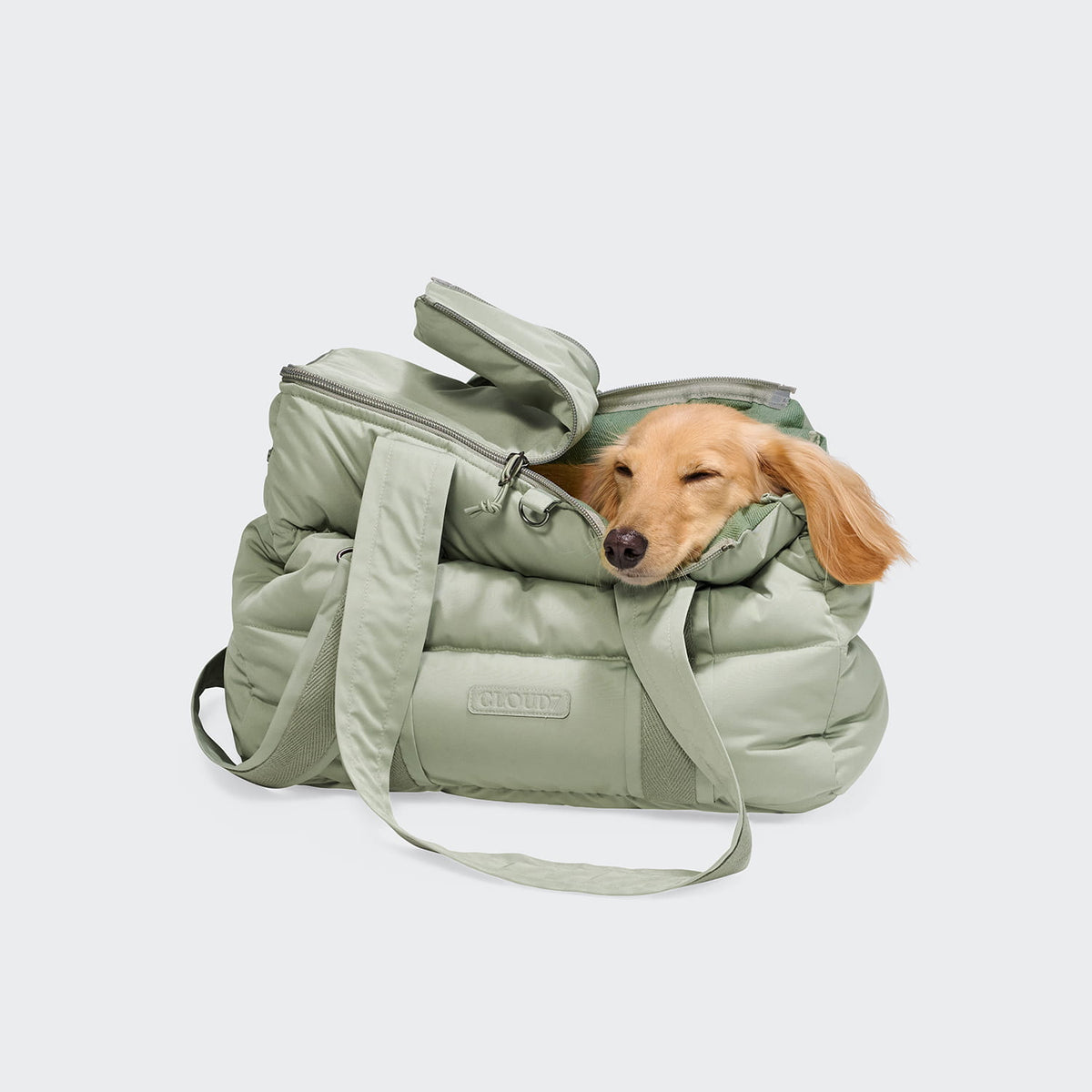 Montreal Sandy Brown dog carrier