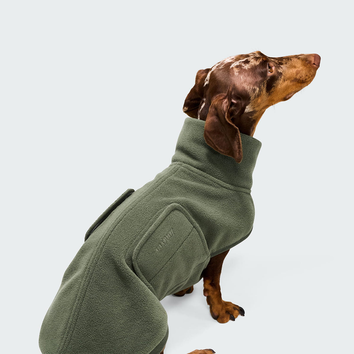 Hundepullover Dackel Fleece Derby 2.0 Khaki