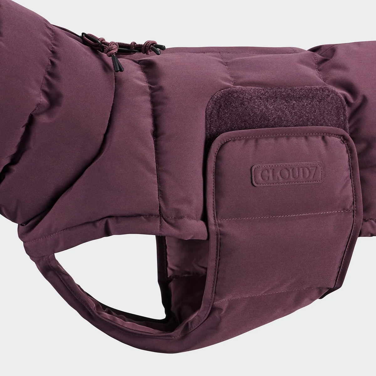 Dachshund Coat Winter Alaska Light Olive