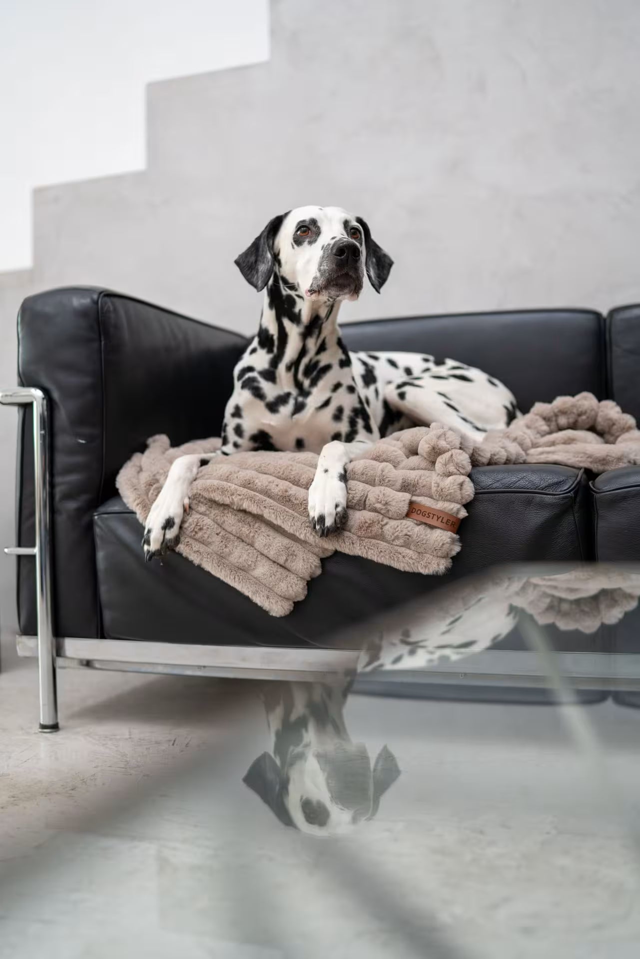 Hundedecke Donna in greige