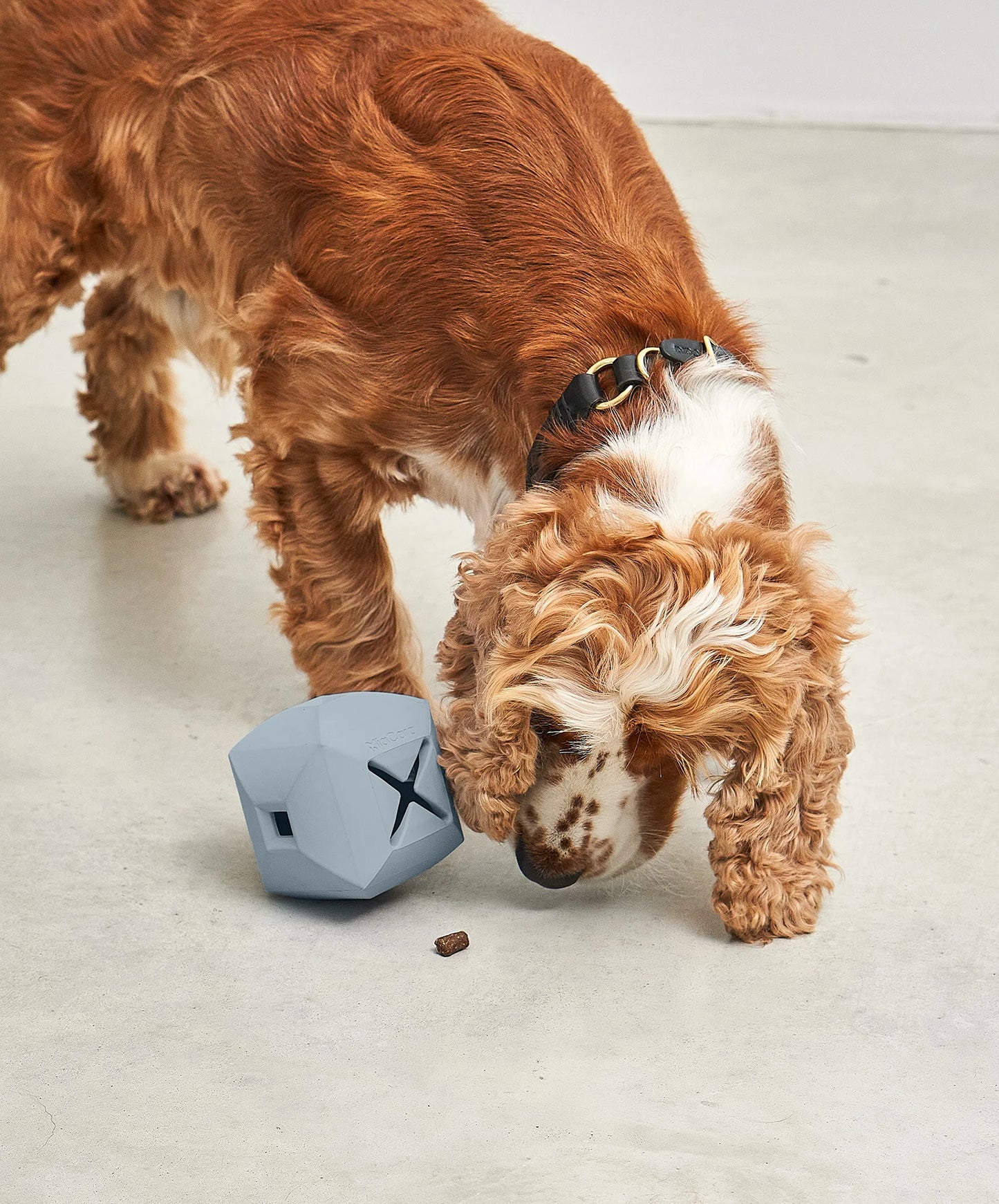 Dado Beschäftigungsspielzeug in Himmel