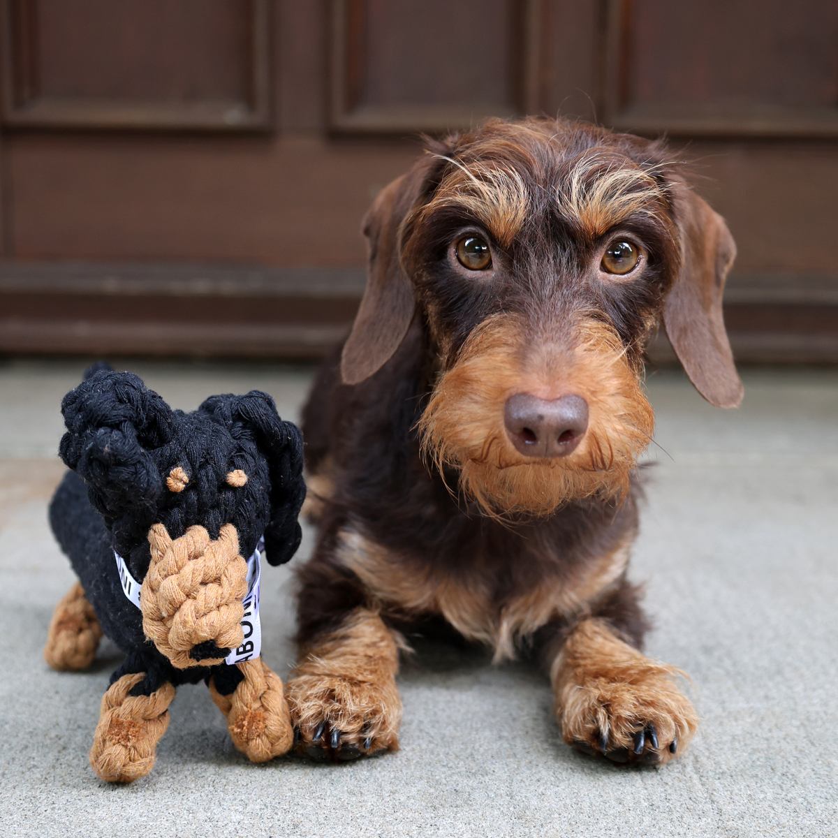 TILDA TECKEL – Hundespielzeug aus Baumwolltau