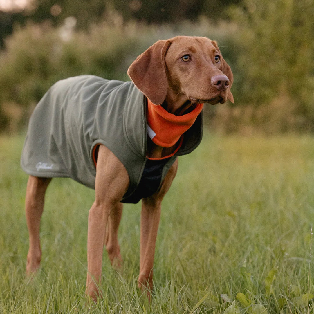 Goldhund Cosyshell khaki / orange