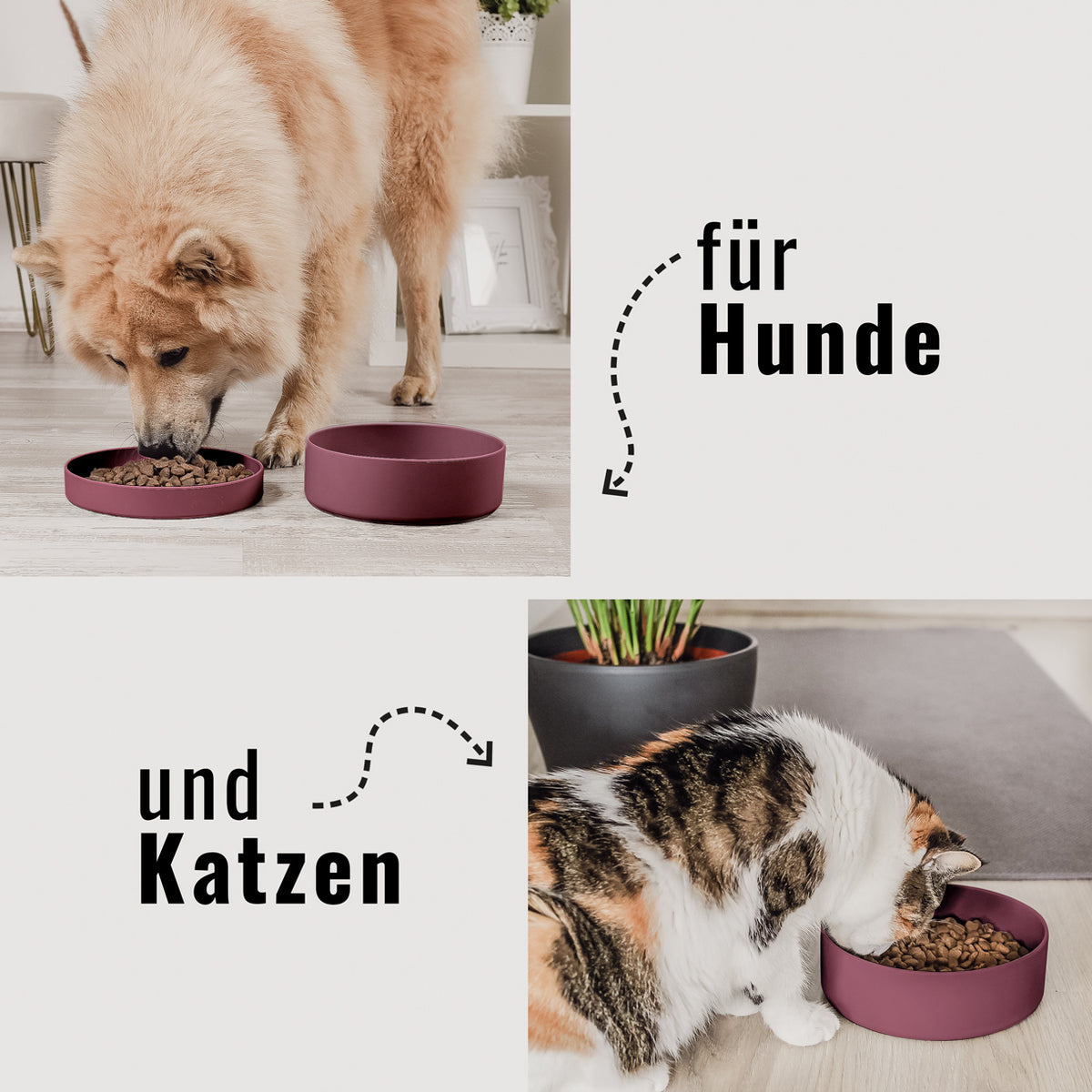 Silikon-Futternapf mit Deckel in aubergine