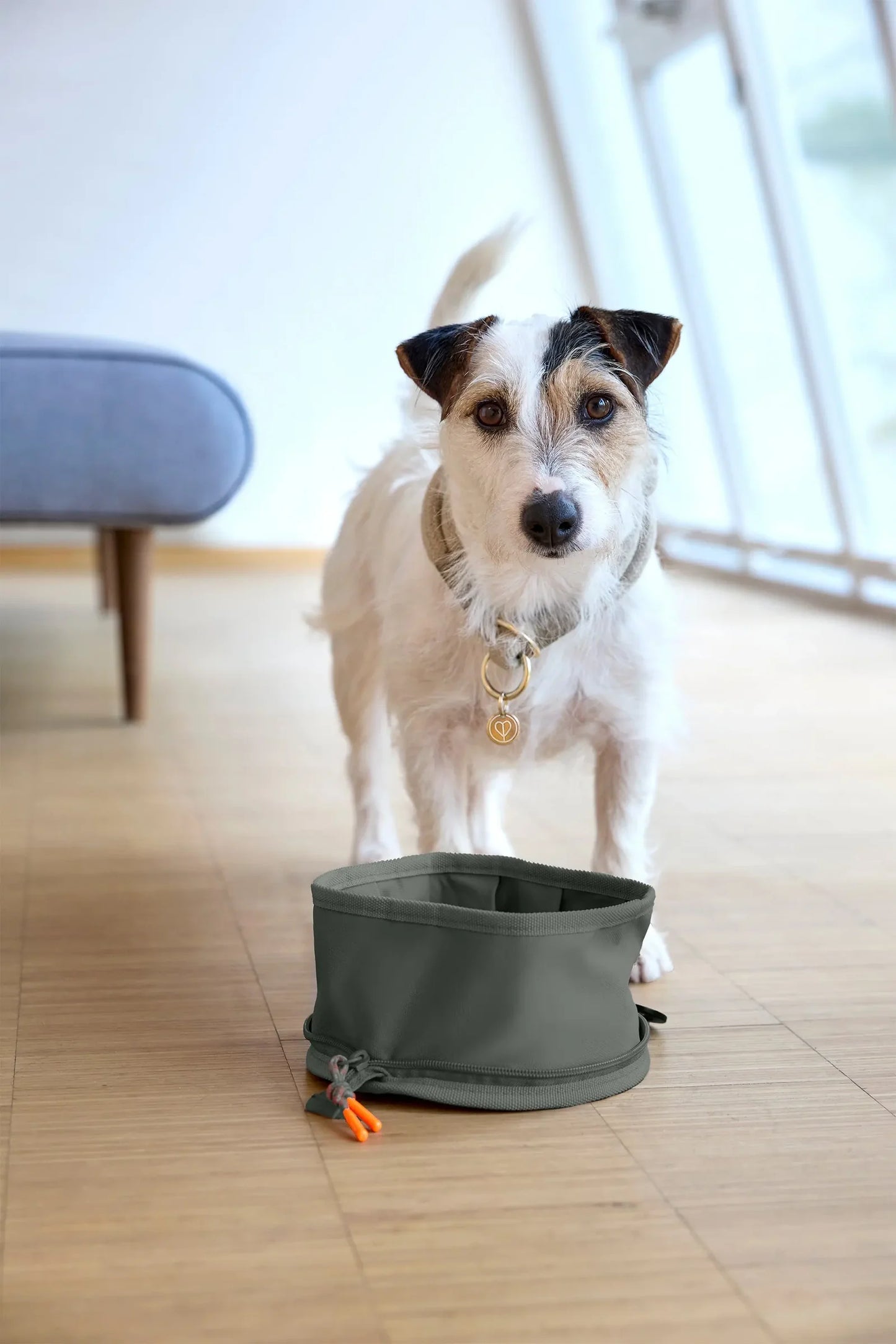 Tura, Dog Bowl to go in dunkelgrün