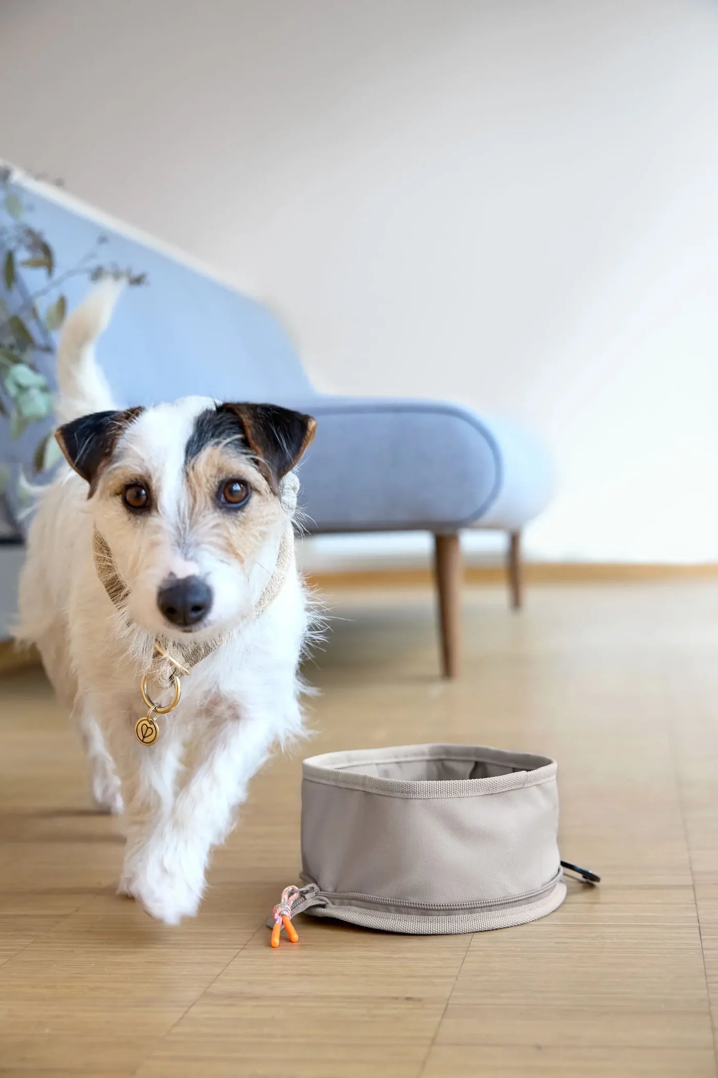 Tura, Dog Bowl to go in taupe