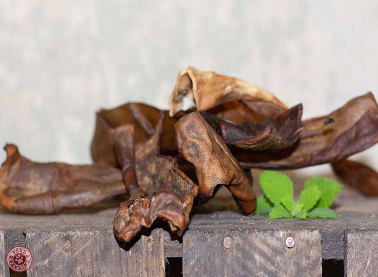 Pferdekopfhaut getrocknet