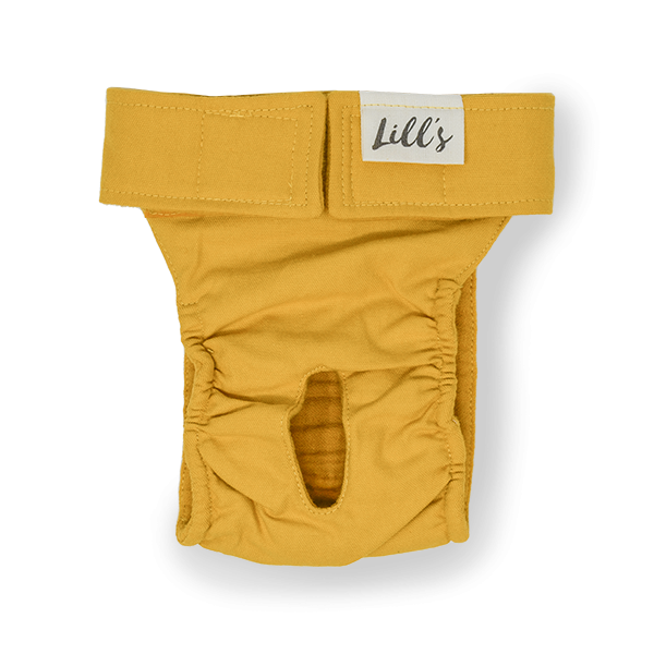 Läufigkeitshosen aus Bio-Baumwolle „Lou“ Amber